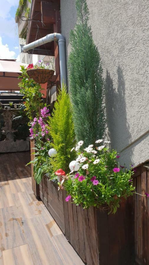 Apartamento Amazing Haifa Exterior foto